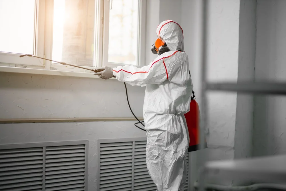 Professional mold remediation services in Port Monmouth, NJ